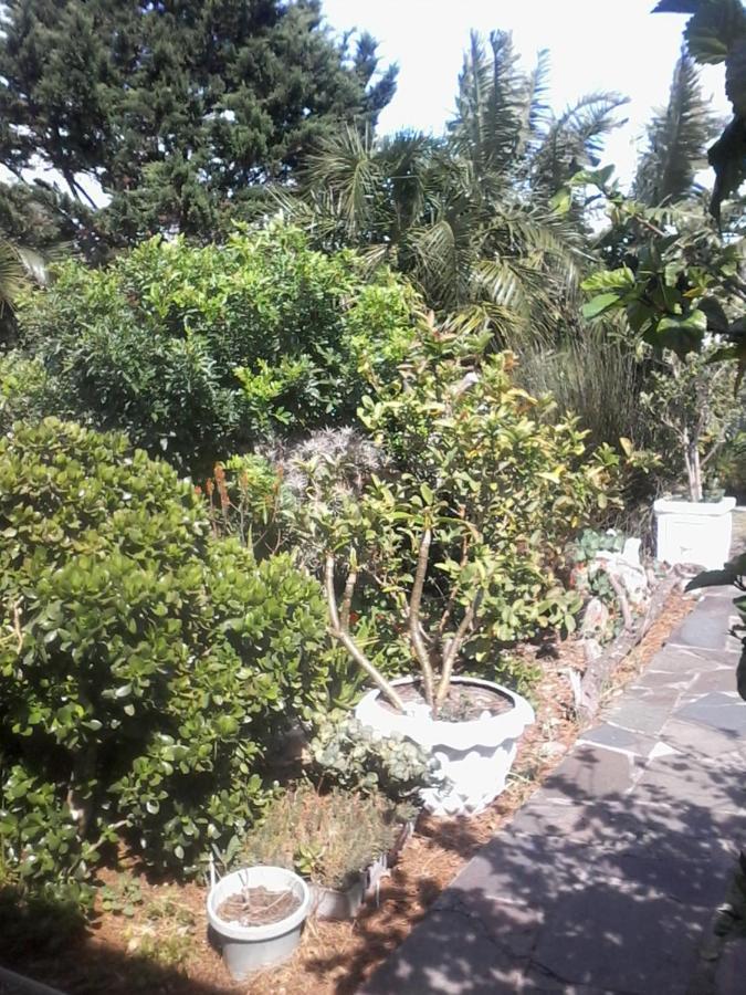 Self Catering Unit 7, Sandbaai 赫曼努斯 外观 照片