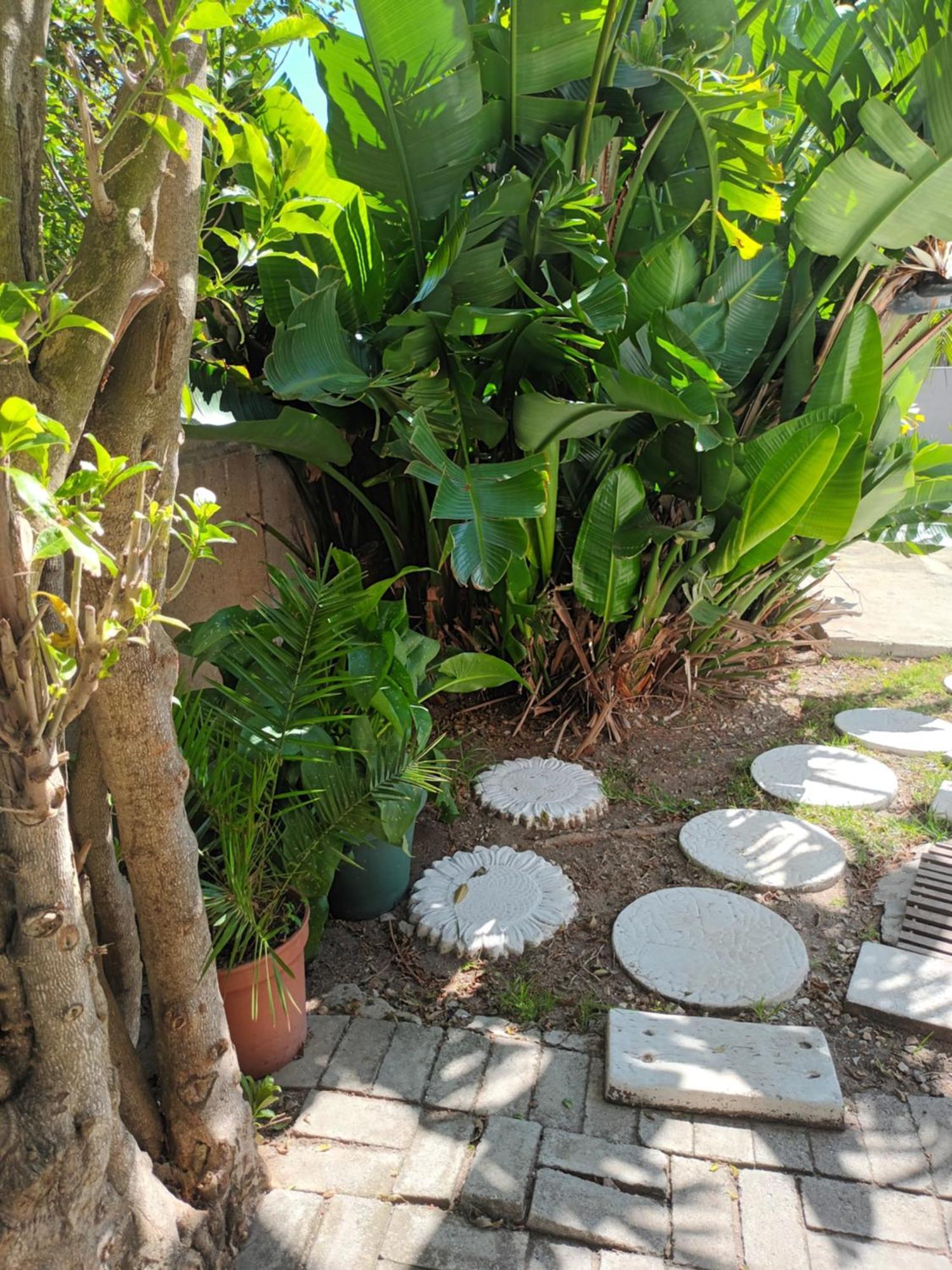 Self Catering Unit 7, Sandbaai 赫曼努斯 客房 照片